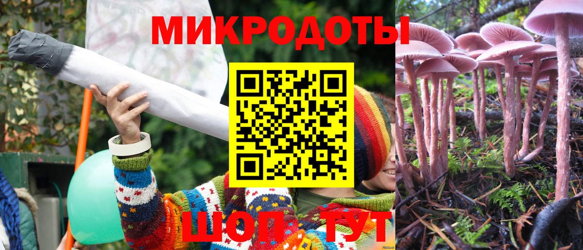 Тамбов  Галлюциногенные грибы Psilocybine cubensis  Вход с VPN 